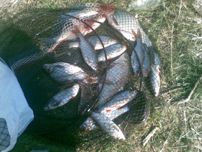 20100418.jpg