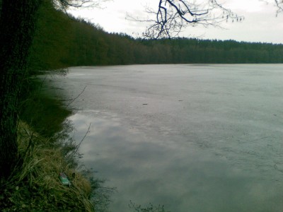 20100405(001).jpg
