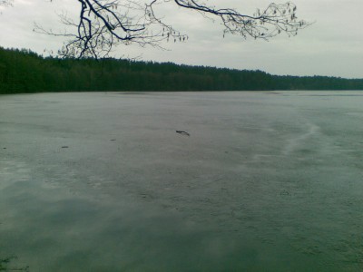 20100405(002).jpg