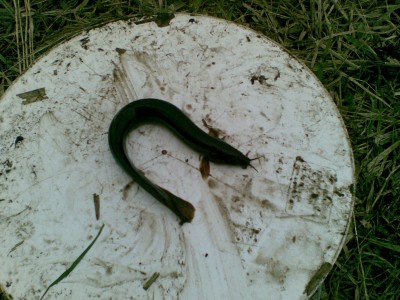 20110423.jpg