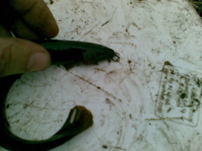 20110423(001).jpg