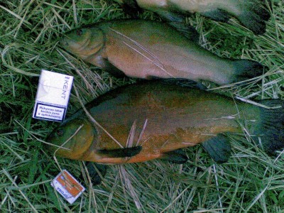 20110427.jpg