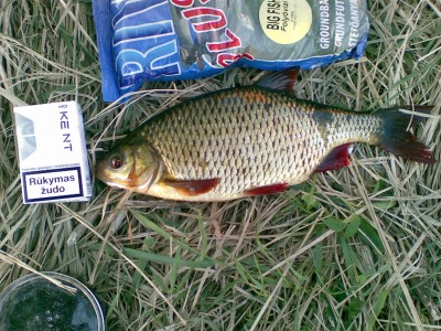 20110430.jpg