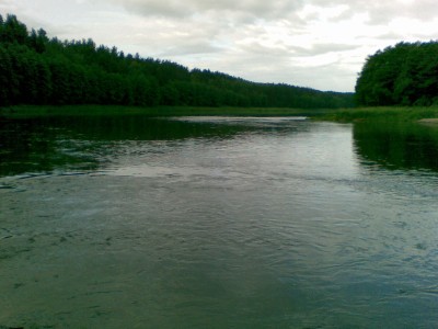 20110626.jpg