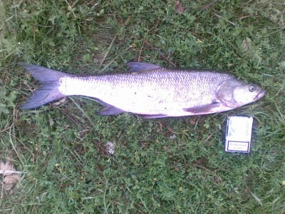 20110702.jpg