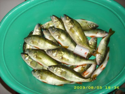 DSCI1223_res.JPG